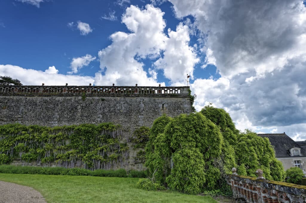 Sophora du Japon. Le Château de Valmer vins et jardins. Photo : Philippe Lim