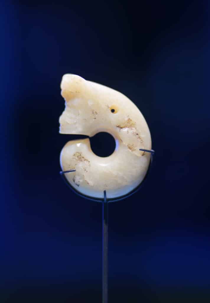 Cochon-dragon. 
Dragons. Exposition temporaire au Musée du Quai Branly. Photo : Philippe Lim