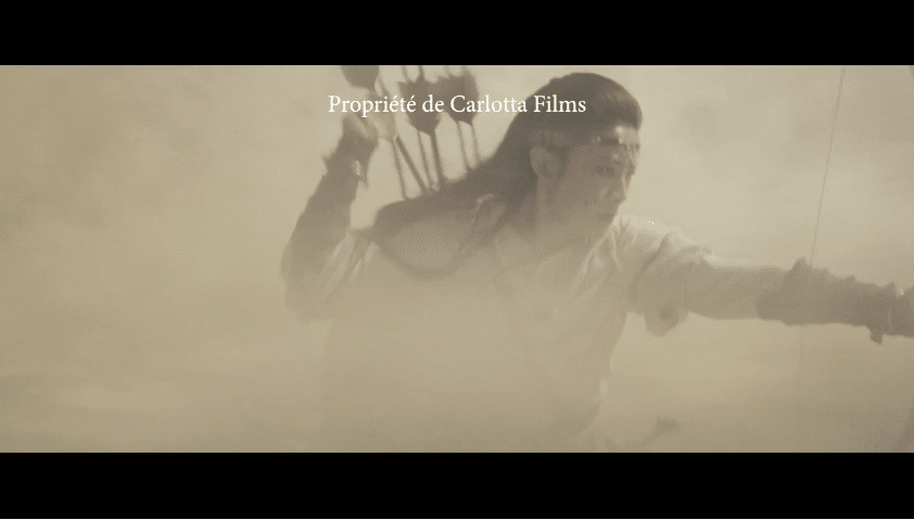 A Yu Ya (Lijun Chen) Le Sabre des gardiens de Yuen Woo-ping. Carlotta Films